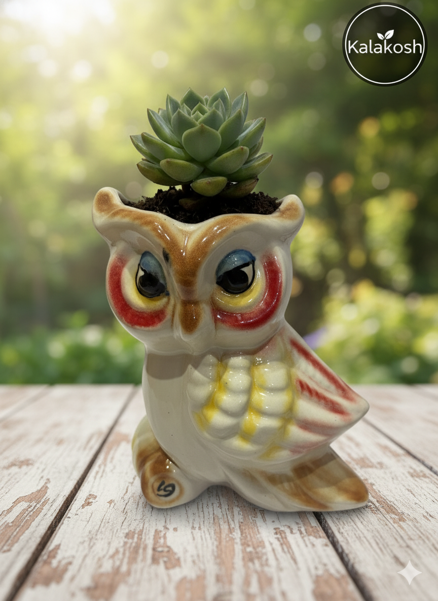 Artisanal Ceramic Owl Shape Planter  | Handcrafted Clay Home Decor Office Desk Flower Pot | Rustic Eco-Friendly Gift for Succulents & Small Plants